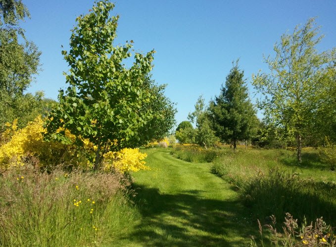 Arboretum de la Petite Loiterie, , France